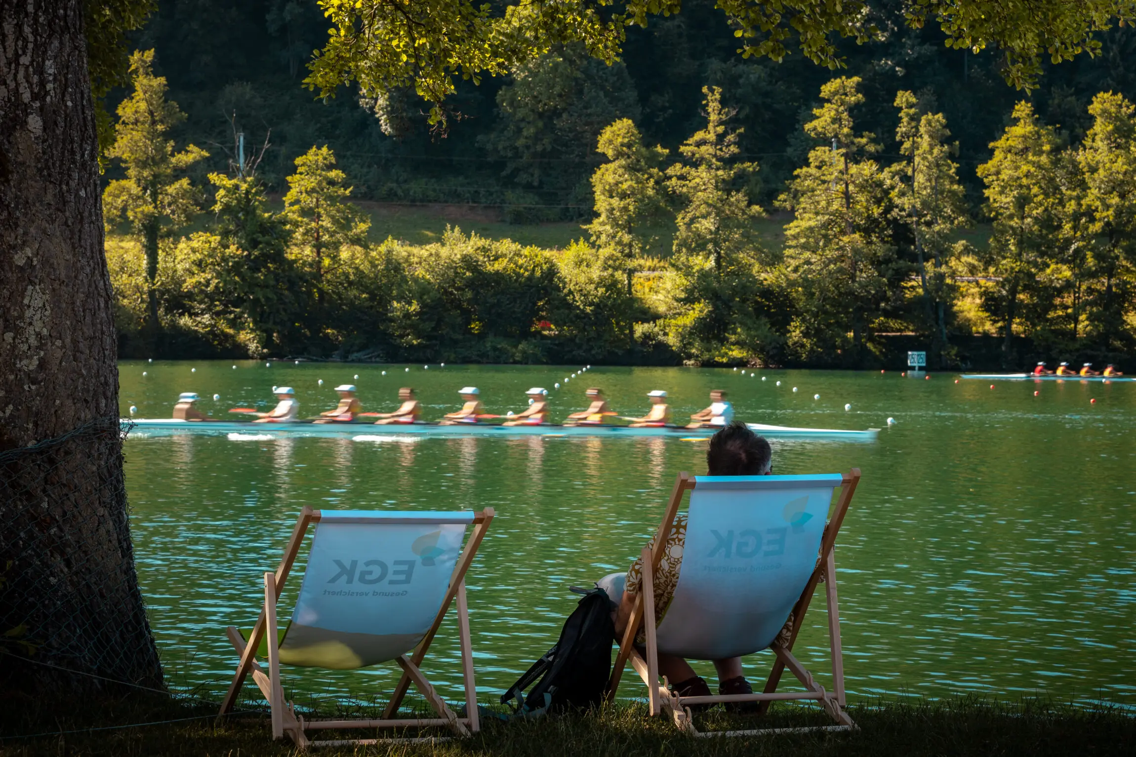 Sustainability - Bild